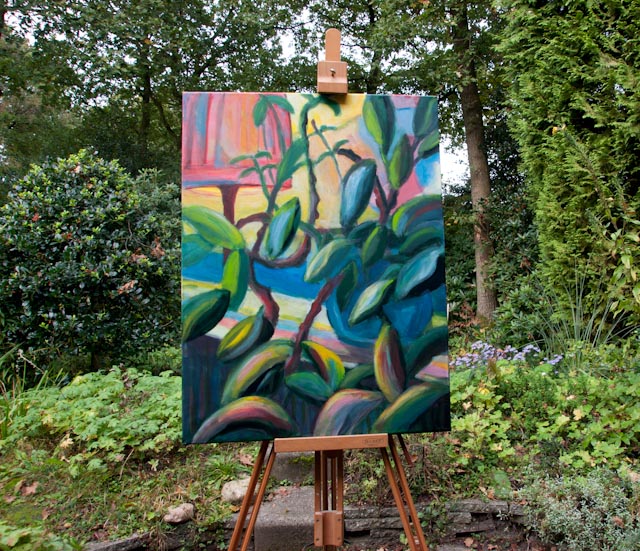 Portret van een kamerplant